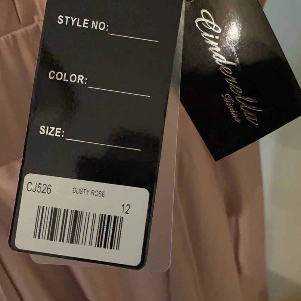 Cinderella Divine - Dusty Rose - Picture 6 of 6
